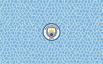 88A8娱乐热评-利物浦女足客场连胜被终结