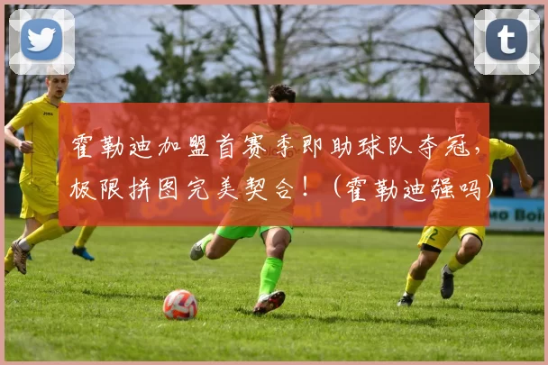 霍勒迪加盟首赛季即助球队夺冠，极限拼图完美契合！(霍勒迪强吗)