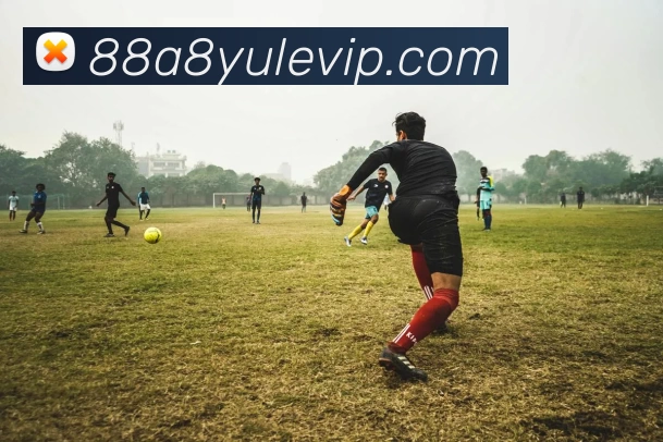 88A8娱乐VIP品牌故事