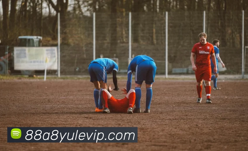 88A8娱乐VIP服务体系